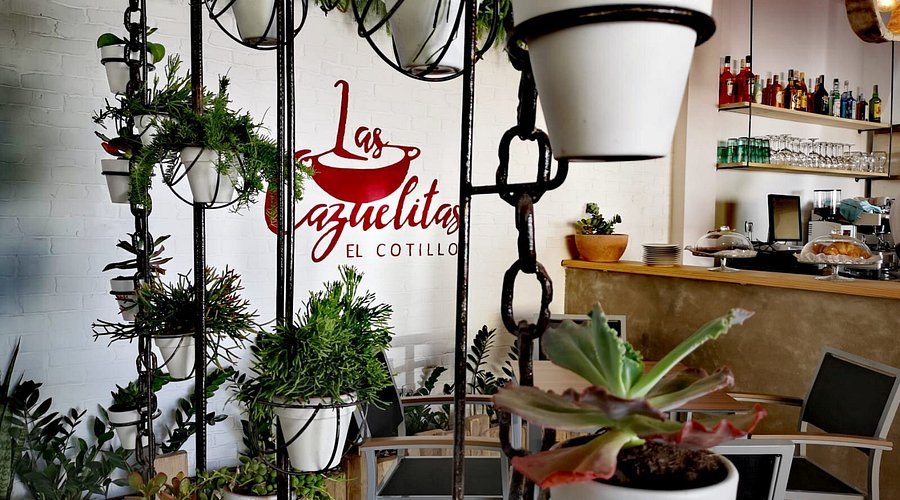 Interior acogedor de Las Cazuelitas El Cotillo con plantas y barra de madera